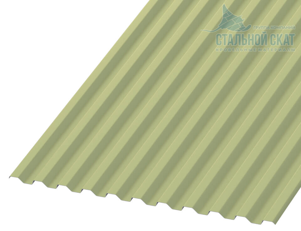 Профнастил С21 х 1000 - A NormanMP (ПЭ-01-6019-0.5)